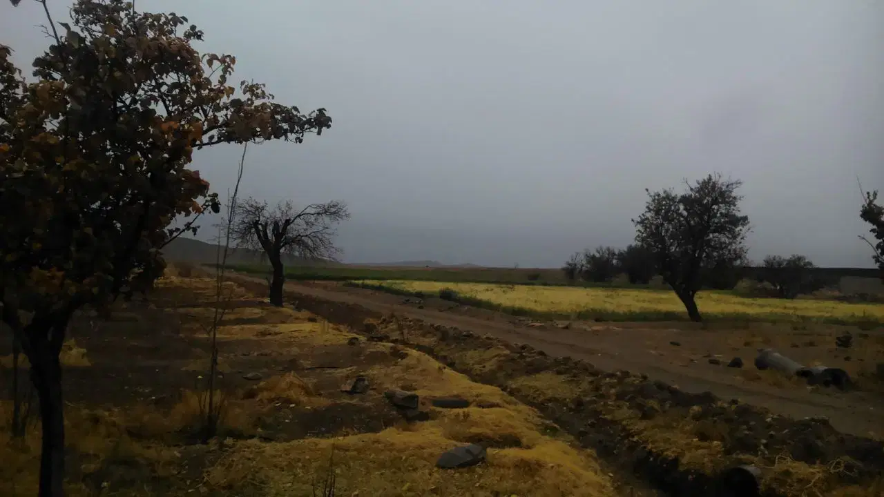 زمین کشاوری ۳۵ هکتار