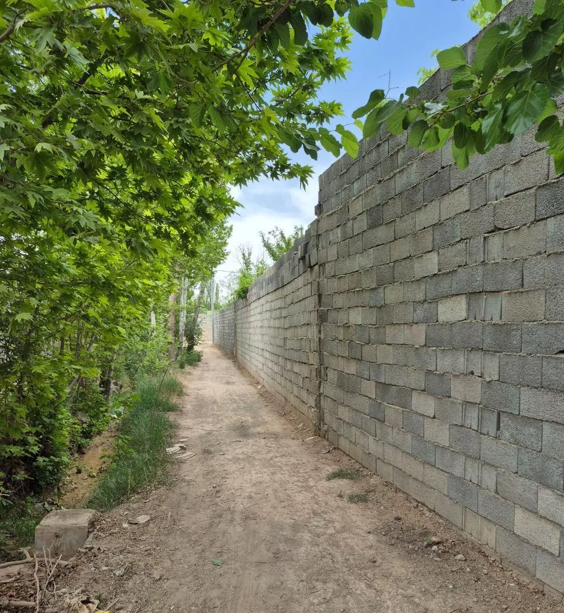 زمین صحرا