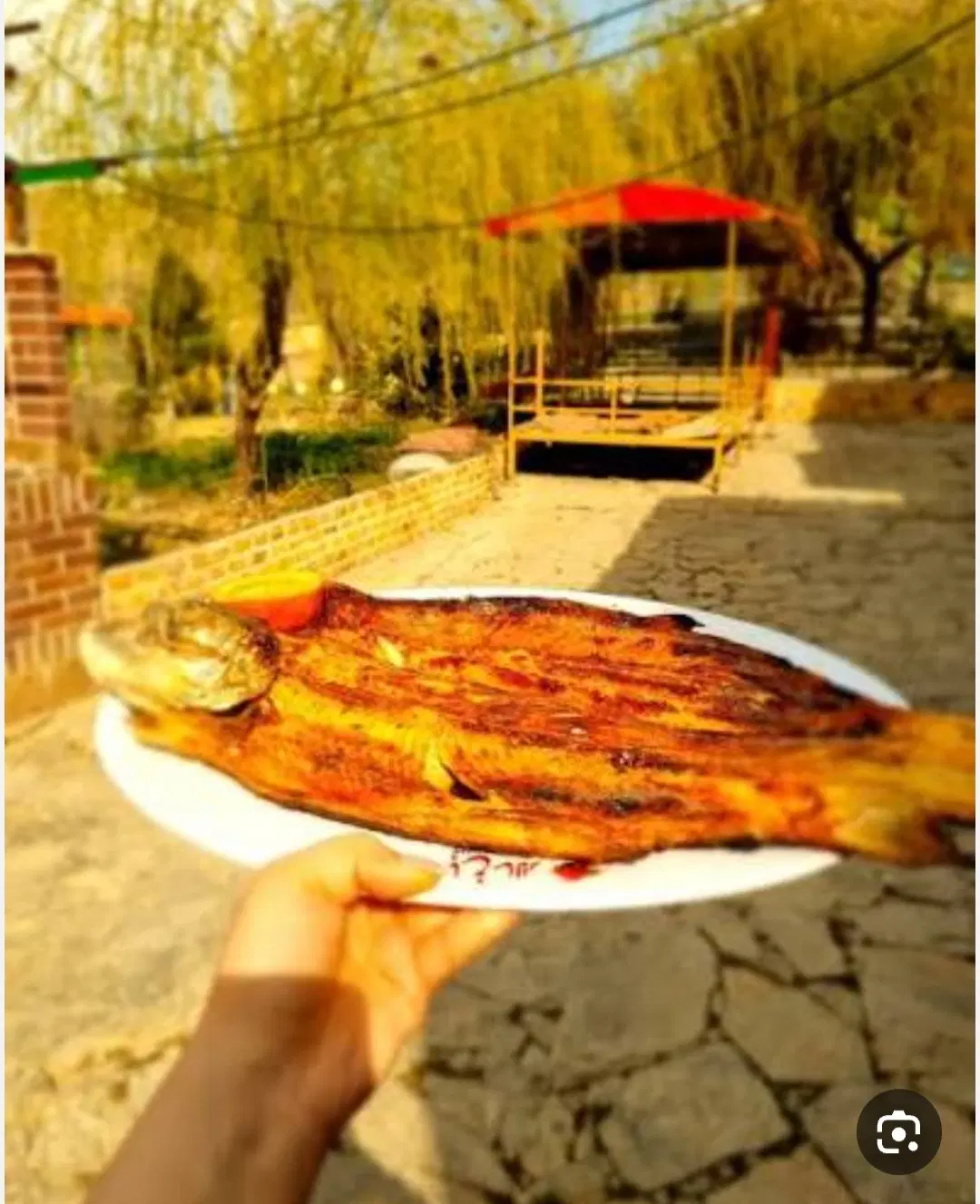 اجاره سوئیت بومگردی