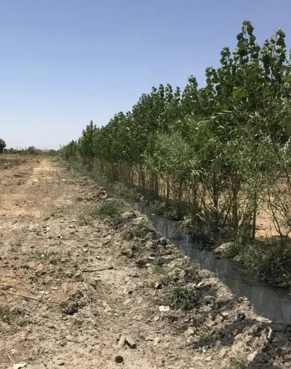 تهران گلدسته زمین کشاورزی صنعتی سند ششدانگ
