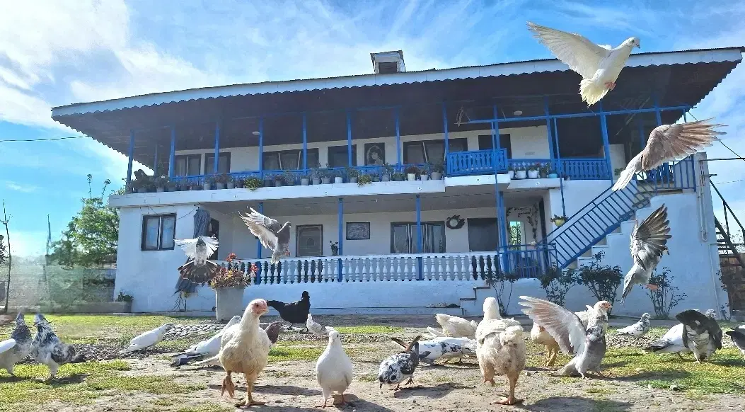 اجاره ویلا یادگار پدر