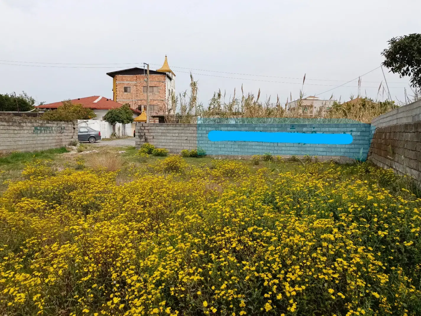 ۲۹۵ متر زمین، علی آباد