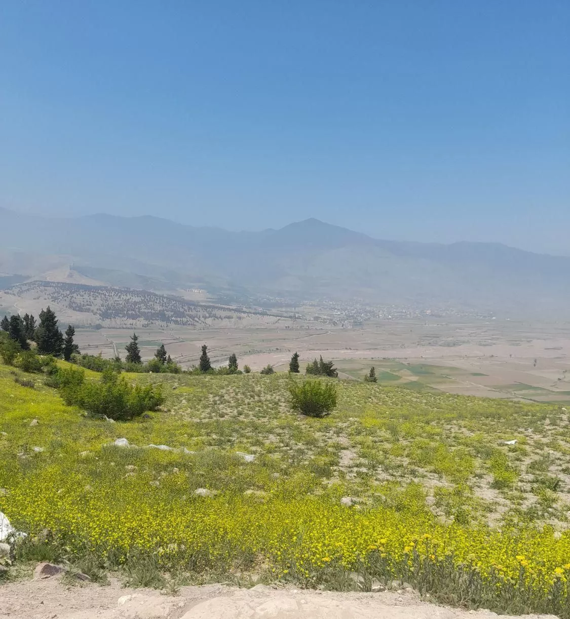 فروش زمین ۱۲۹۰ متری