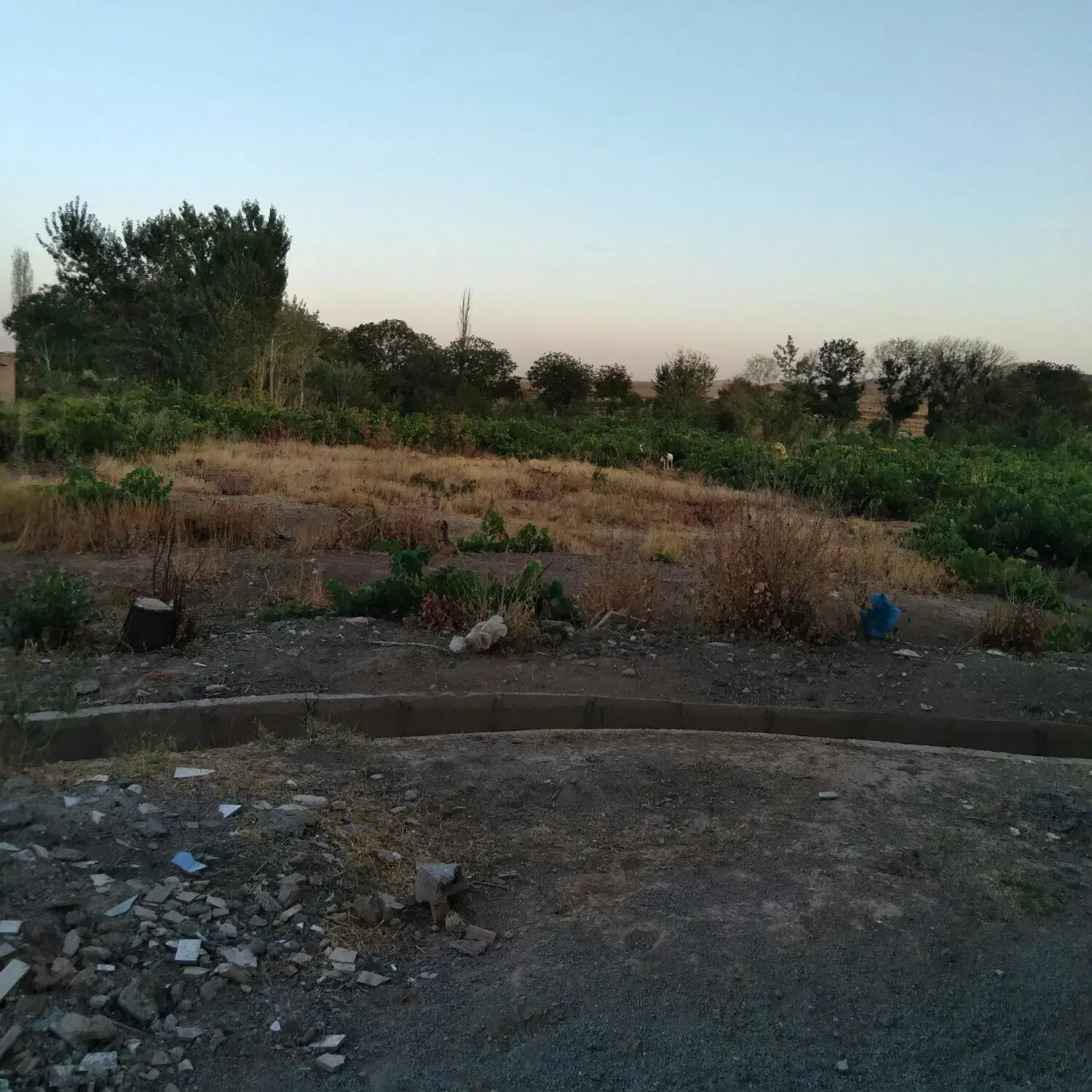 زمین مسکونی روستای رحمت اباد
