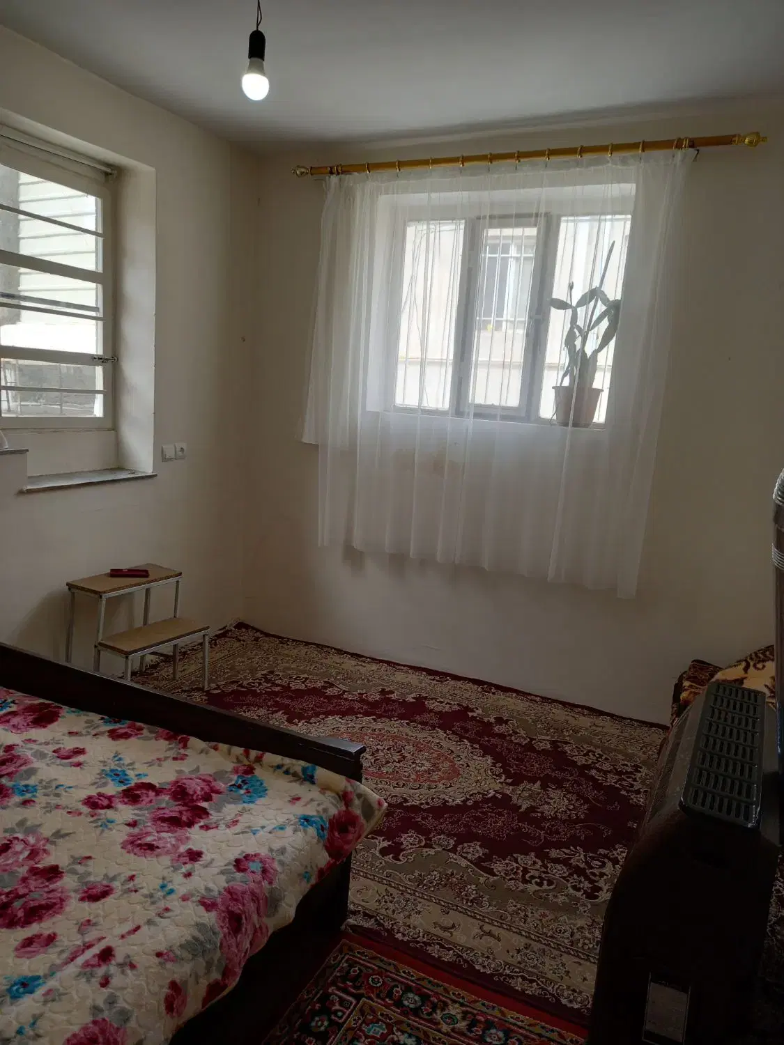 سوعیت با تمام امکانات در کلیبر