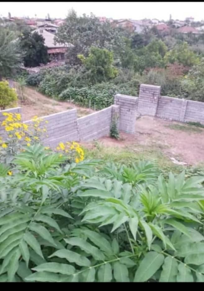 فروش زمین در تنکابن روستای کشکو