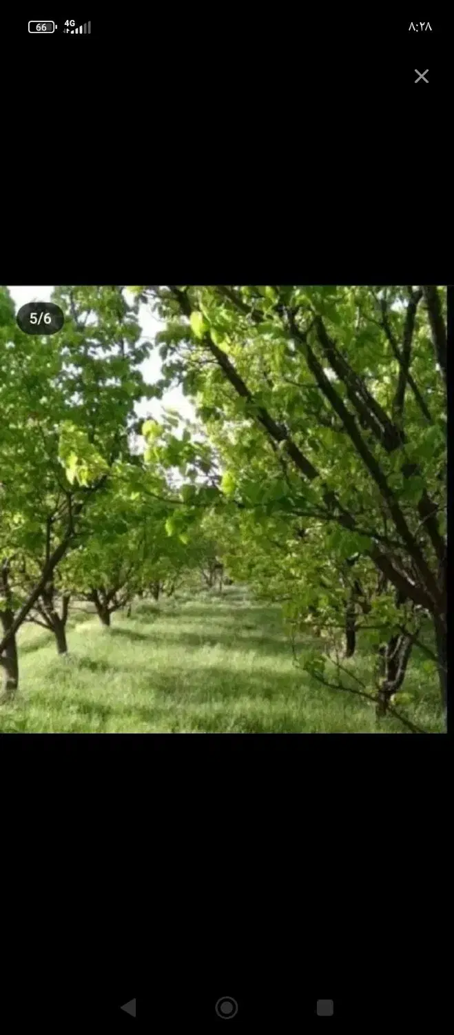 اجاره واحد مبله ویلایی