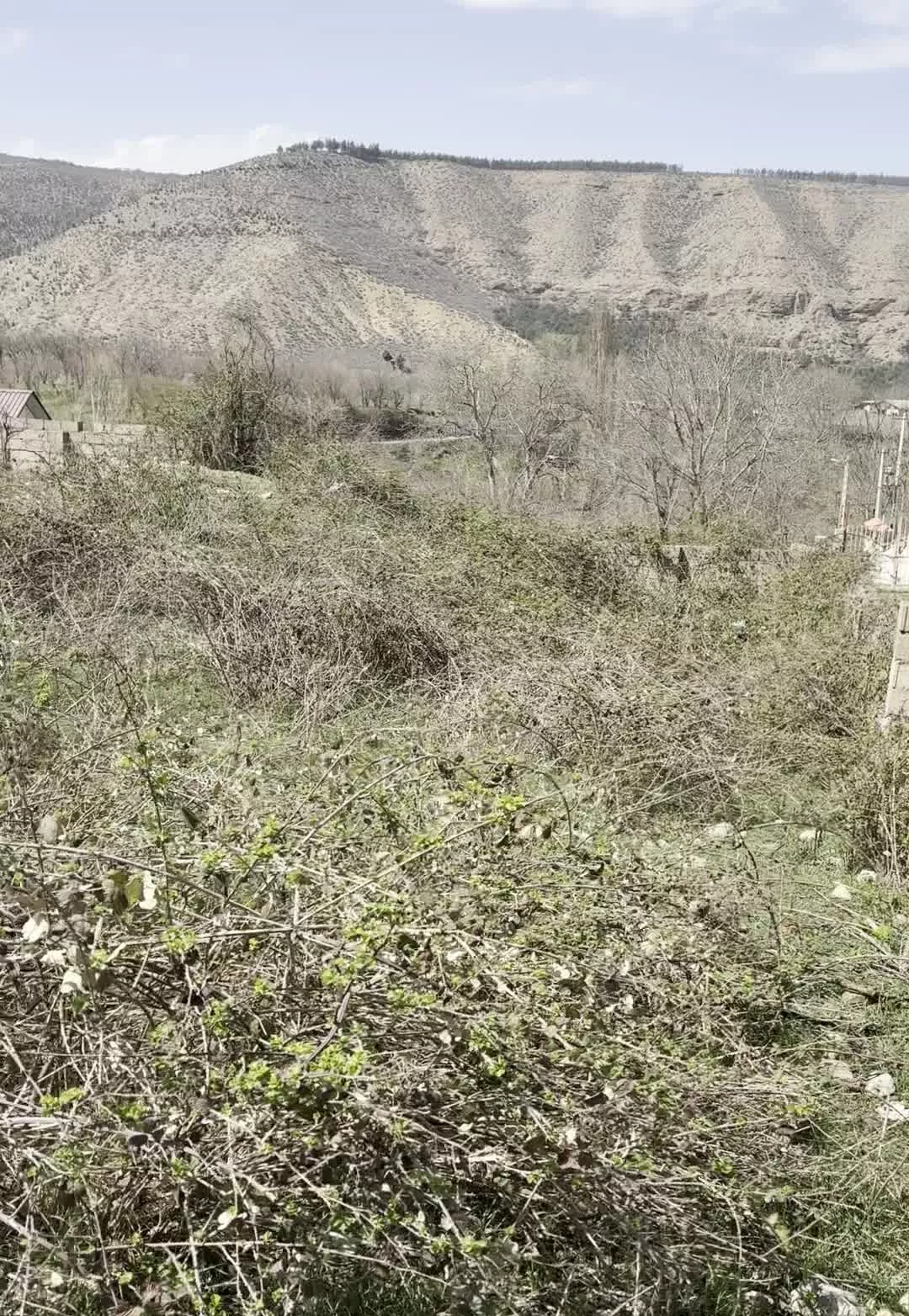 یک قطعه زمین ۴۵۰ متری در دشت نظیر