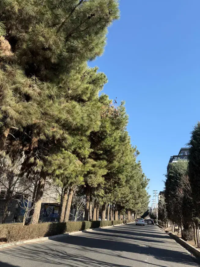محمدشهر زیبادشت زمین ۱۰ هکتاری