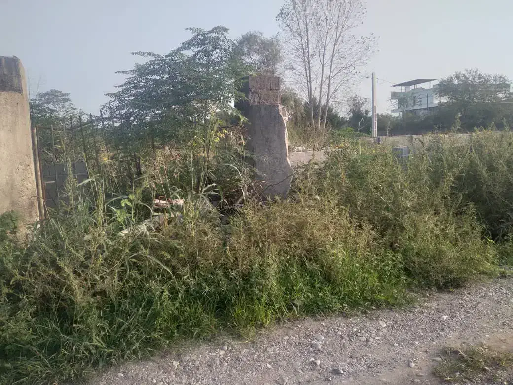 زمین درحوزه شهری شیرود