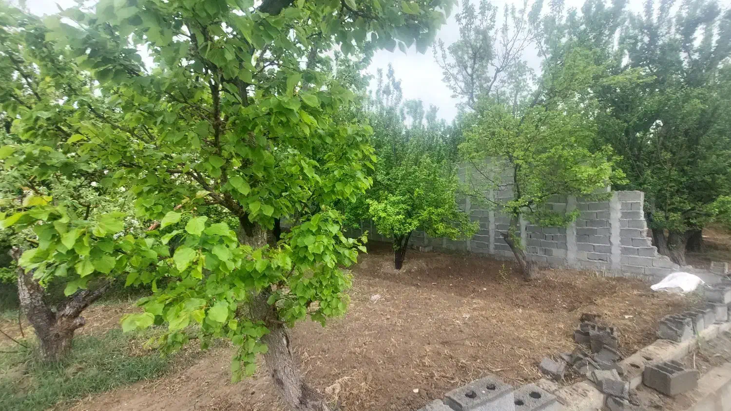 ۱۲۴۰ متر باغچه شهریار کهنز بوستان یکم(قسمتی معاوضه