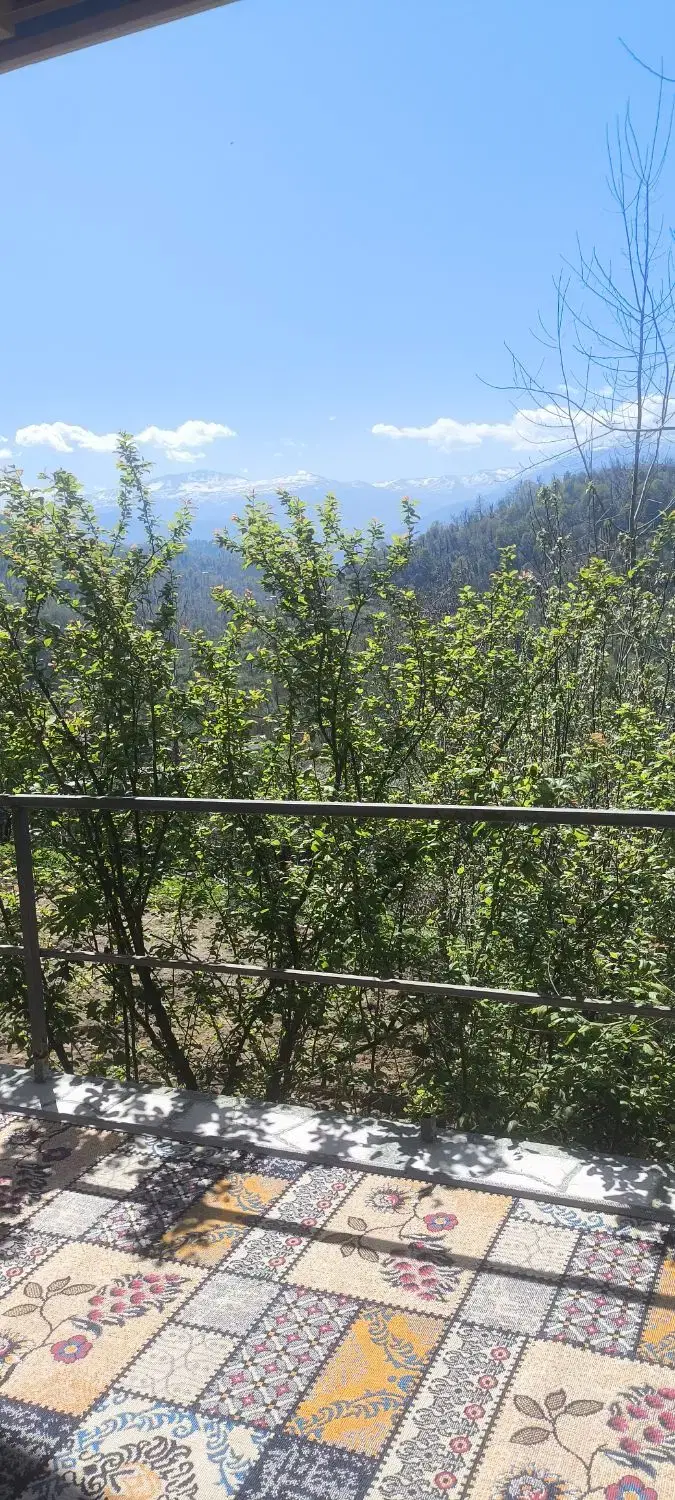 اجاره کلبه ویلا چوبی جنگلی