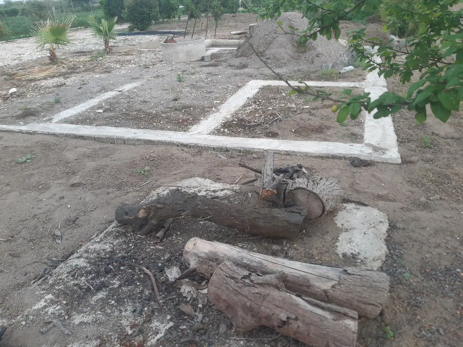 خانه باغ و باغچه