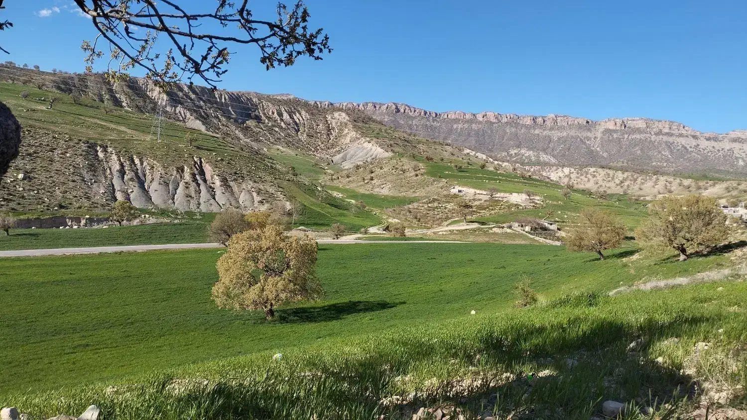 زمین جهت ساخت خانه باغ