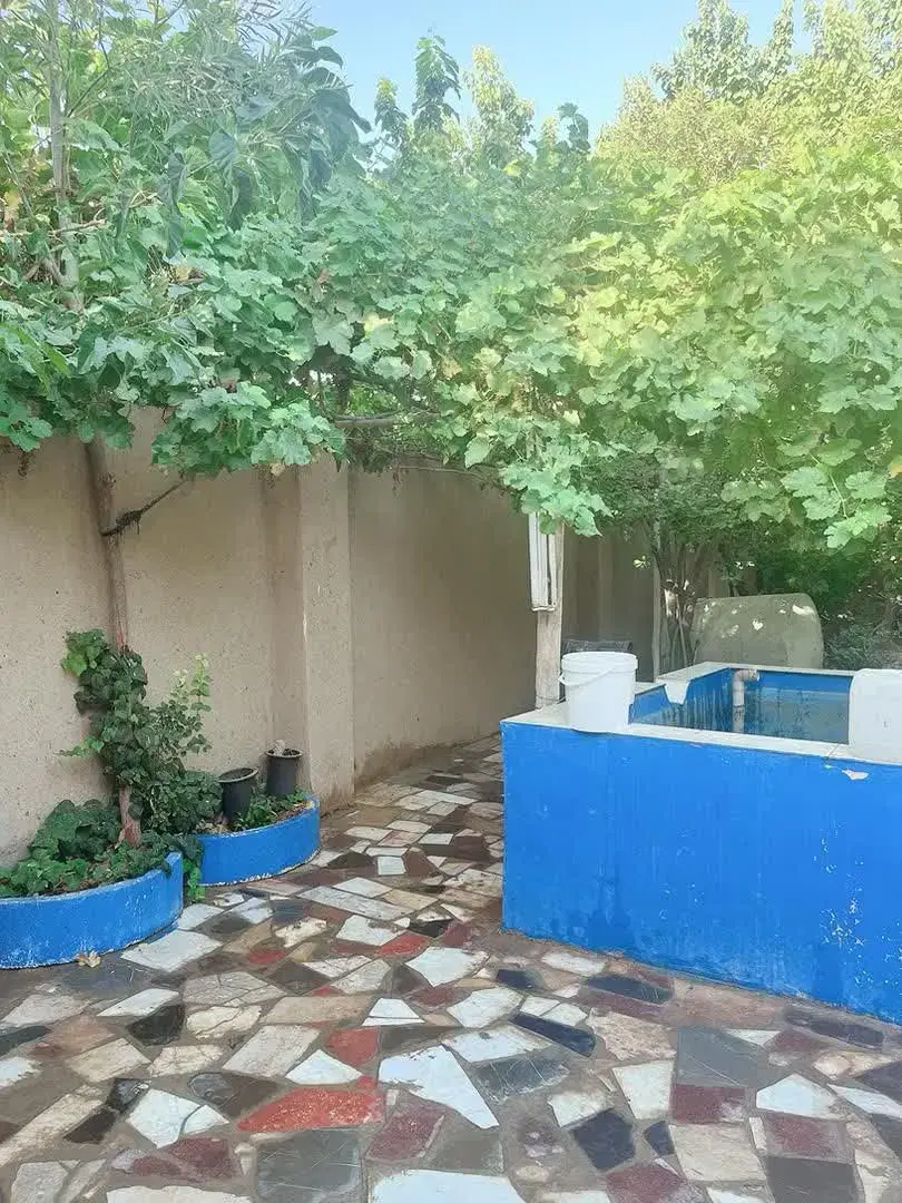 باغ اجاره ای در درچه