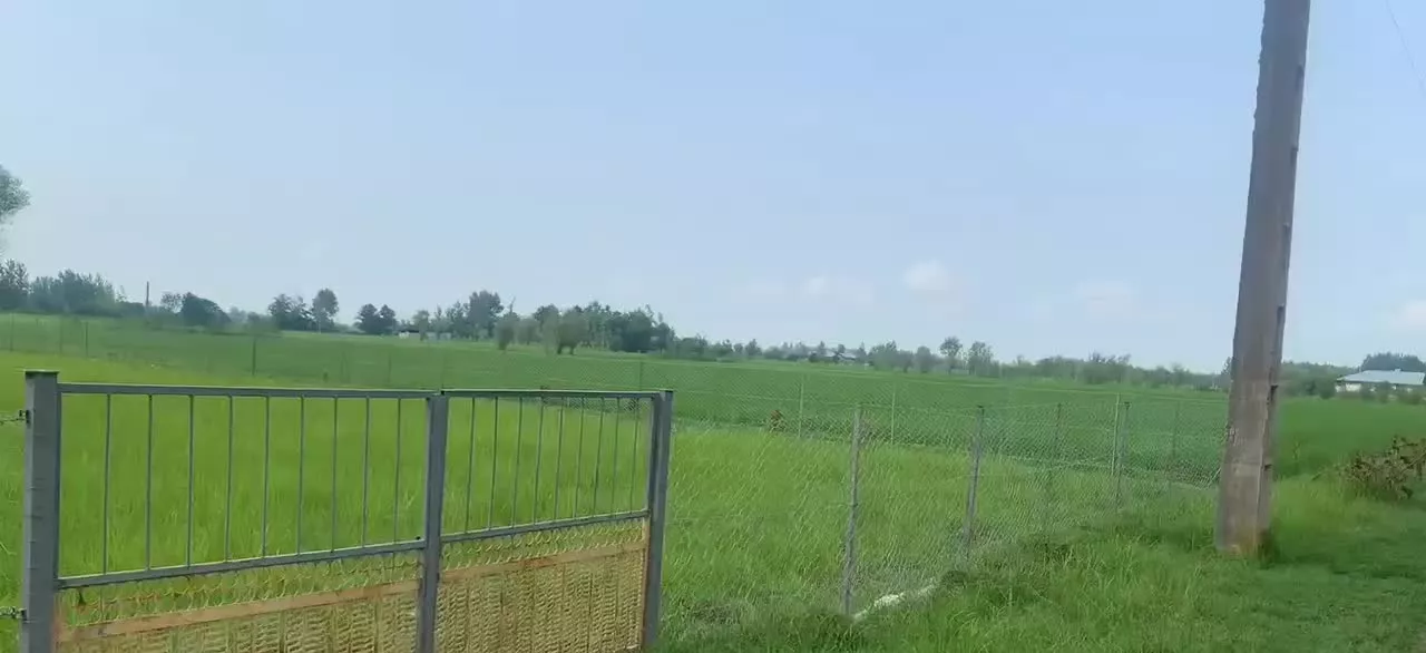 ۱۱۴۳متر دوبر