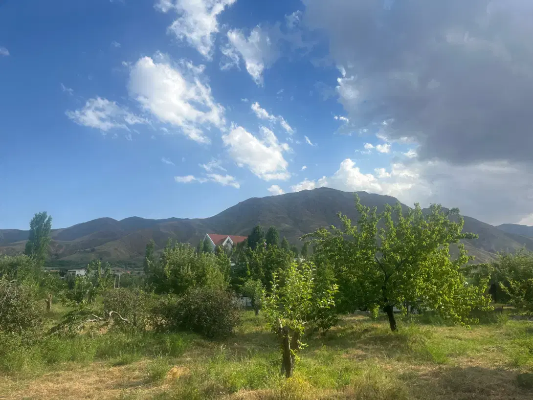 باغ برجاده پیست اسکی یام