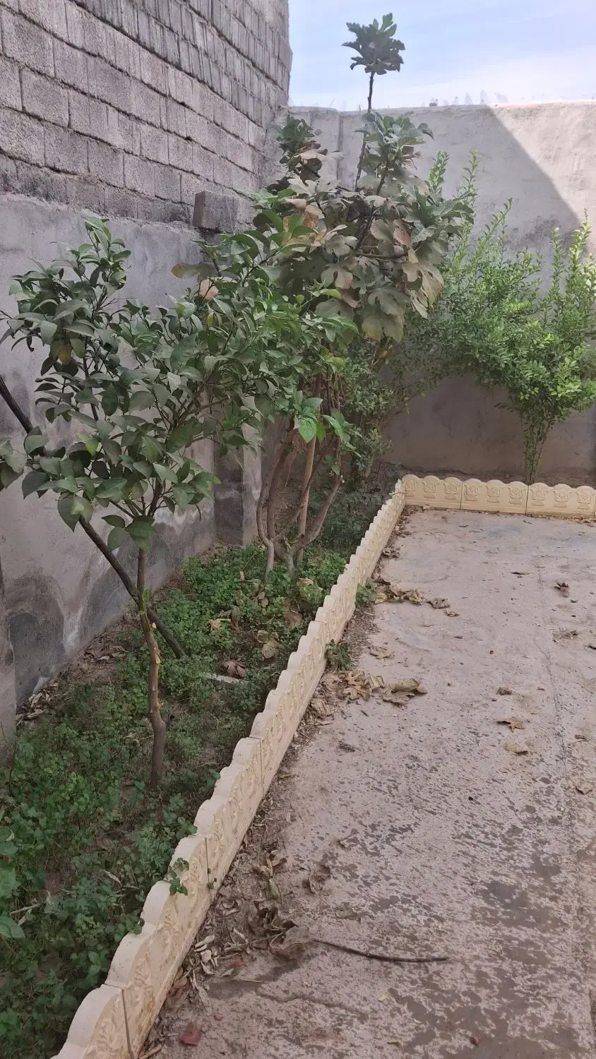 خونه باغ