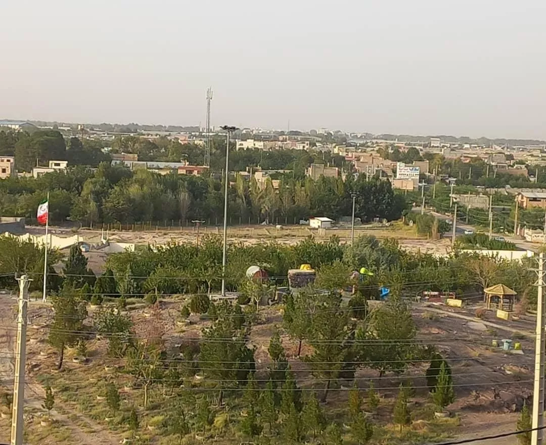 باغچه انگوری