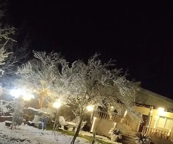 اجاره ویلا روزانه