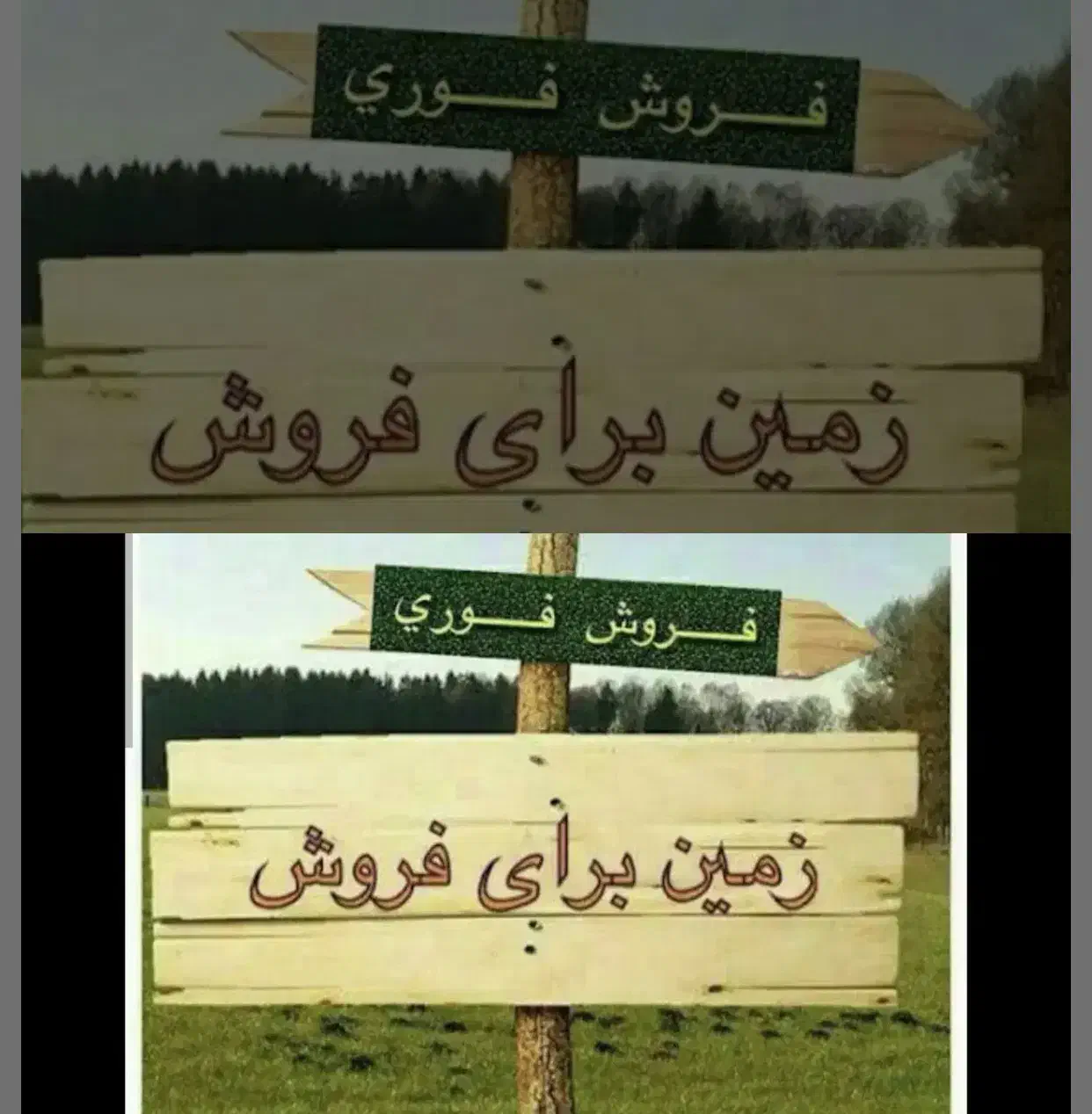 زمین کشاورزی بزرگ