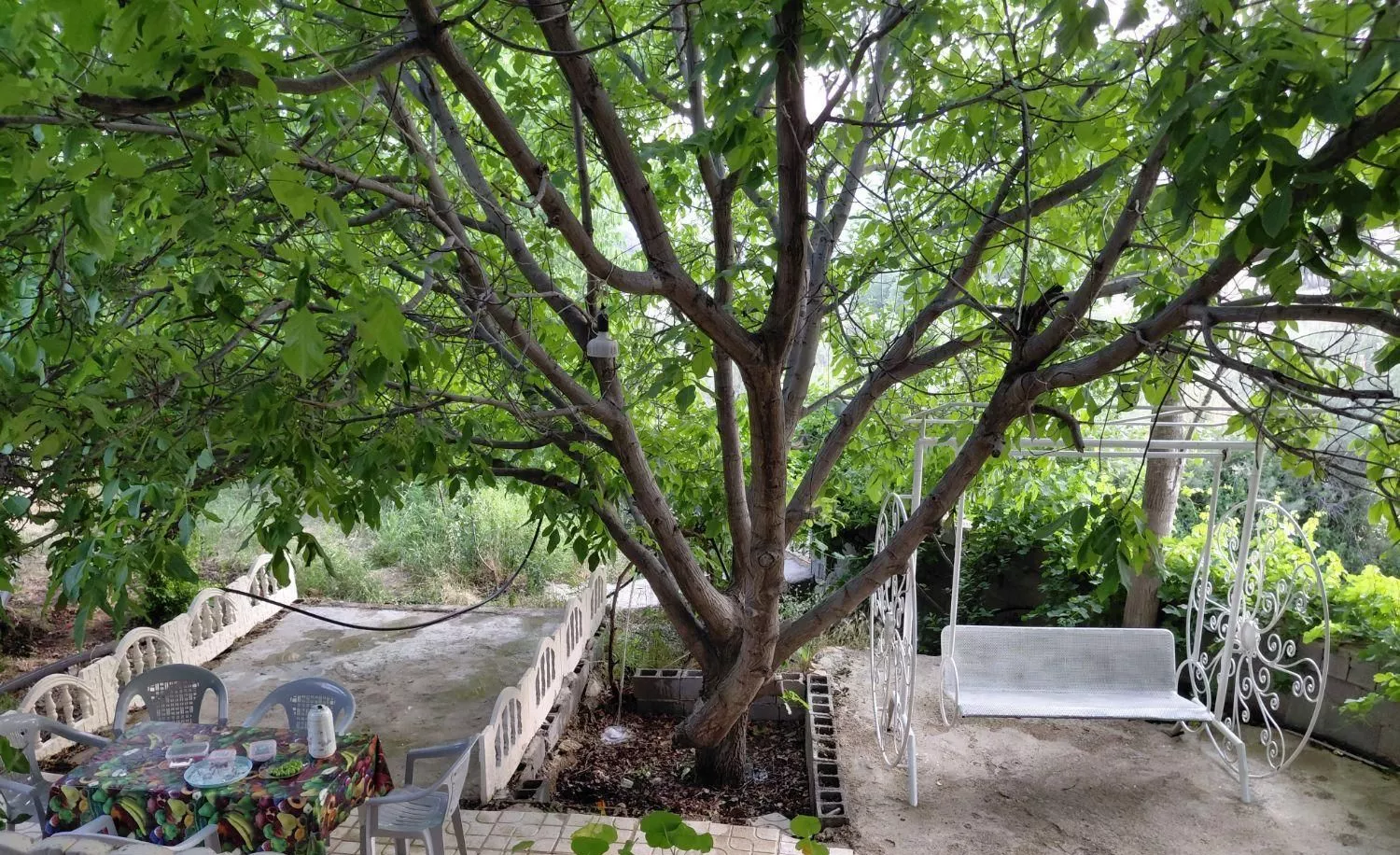 ویلا باغ مخصوص طبیعت دوستان لب رودخانه