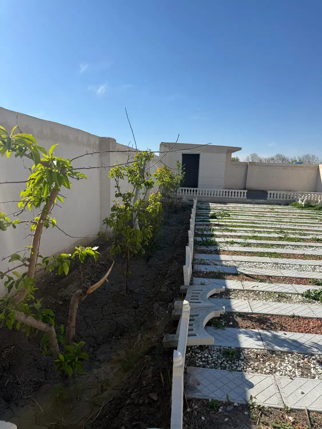 باغ وباغچه سنددار بنادار