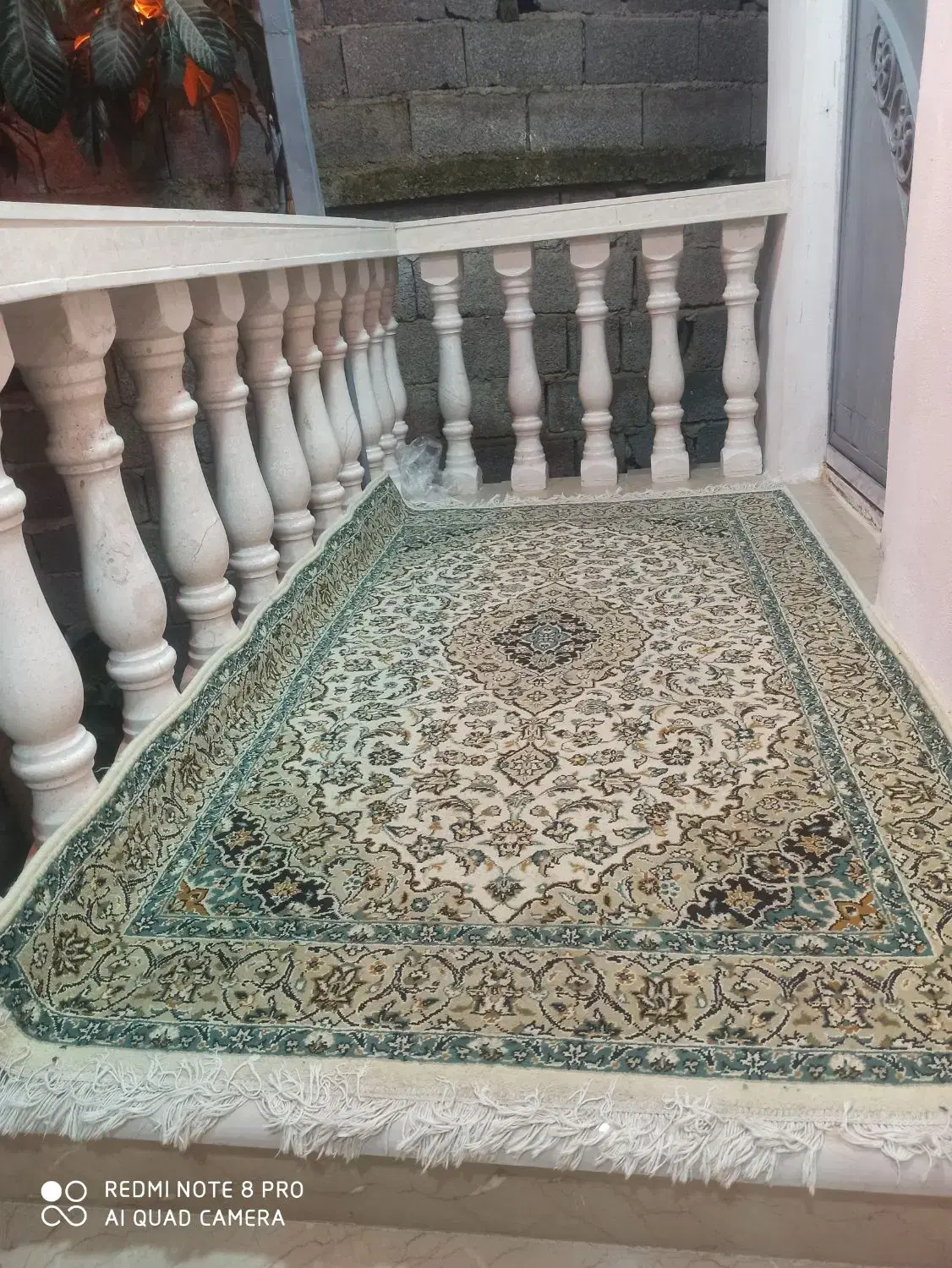 اجاره ی ویلای جنگلی در لنگرود
