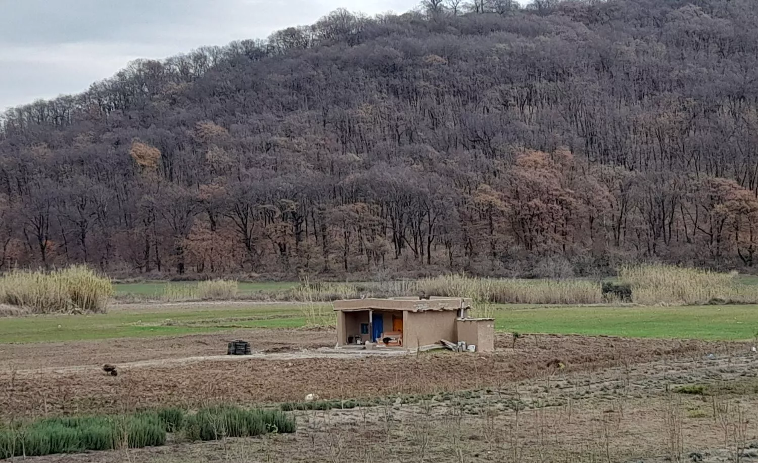 ۷۵۰ متر زمین باغی قبل جنگل لب اتوبان