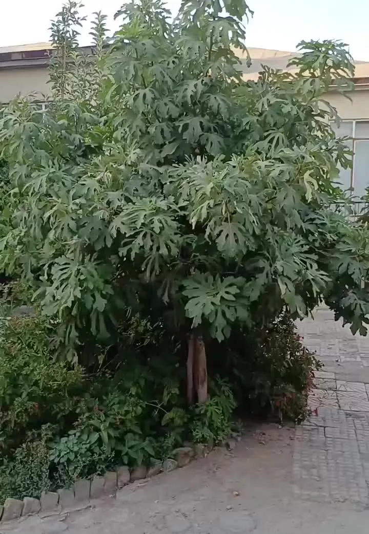 فروش خانه ویلایی