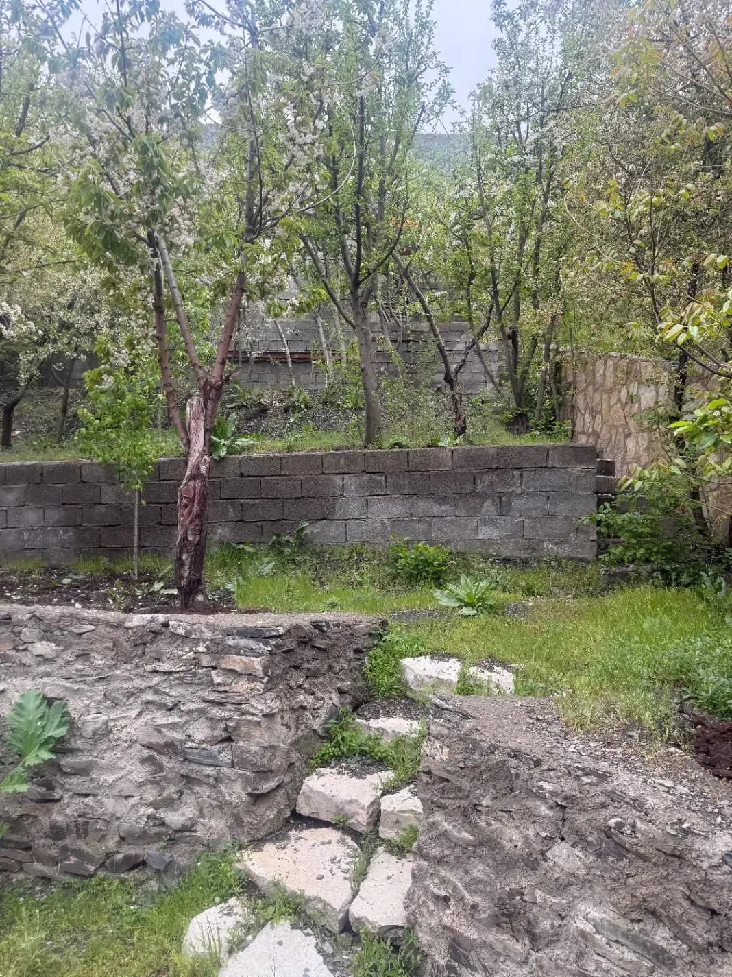 باغ زشک چشمه قل قلی کوچه ارم یا عرب