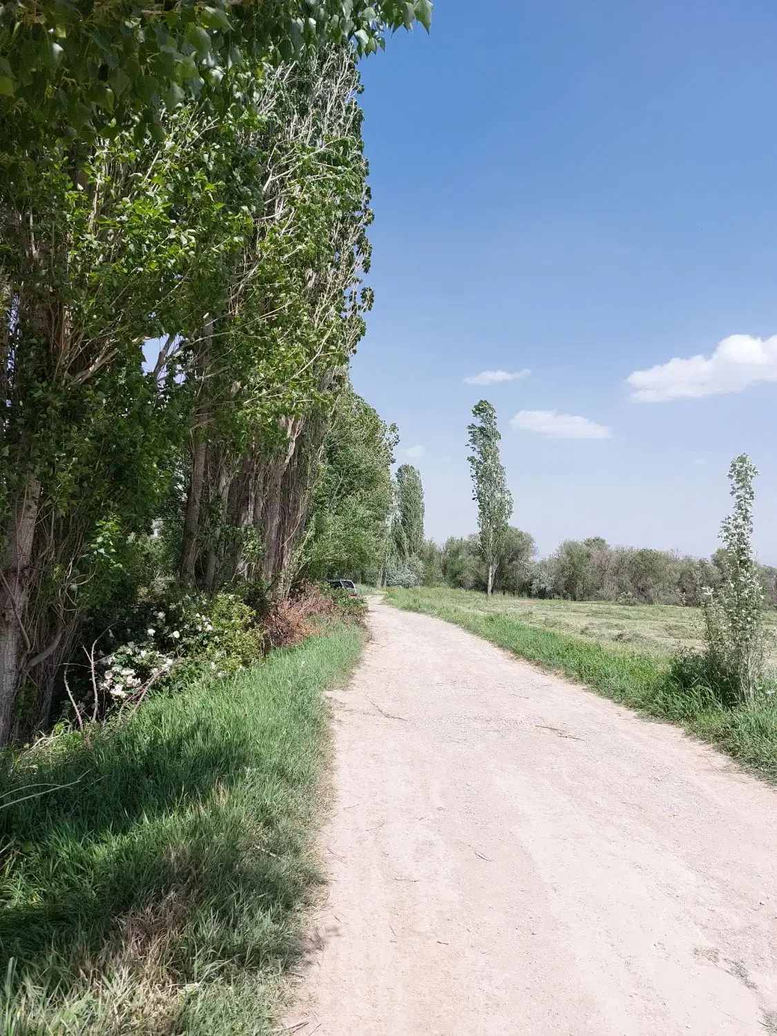 زمین کشاورزی ابی( پمپاژ هولاسو)