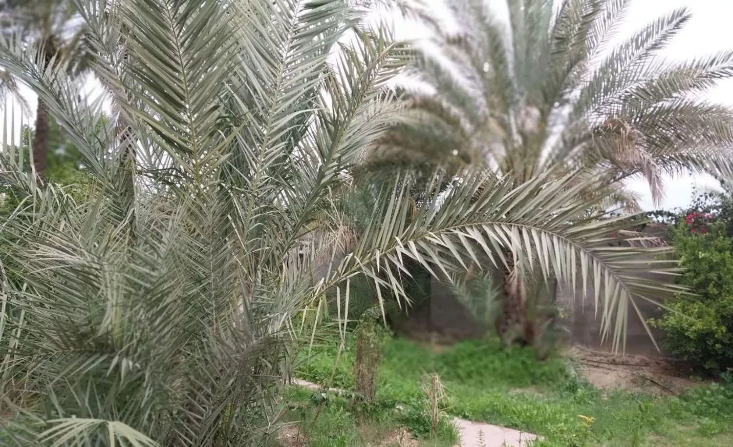 ویلا باغ امن و زیبا با استخر مناسب کودکان