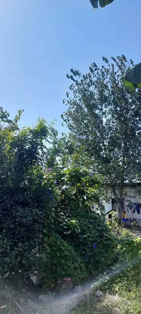 فروش و معاوضه زمین شهرکی تشبندان