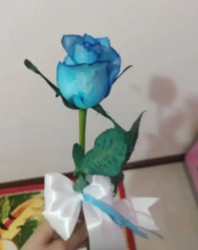 مغازه ۳۰متر با کاسبی پر سود