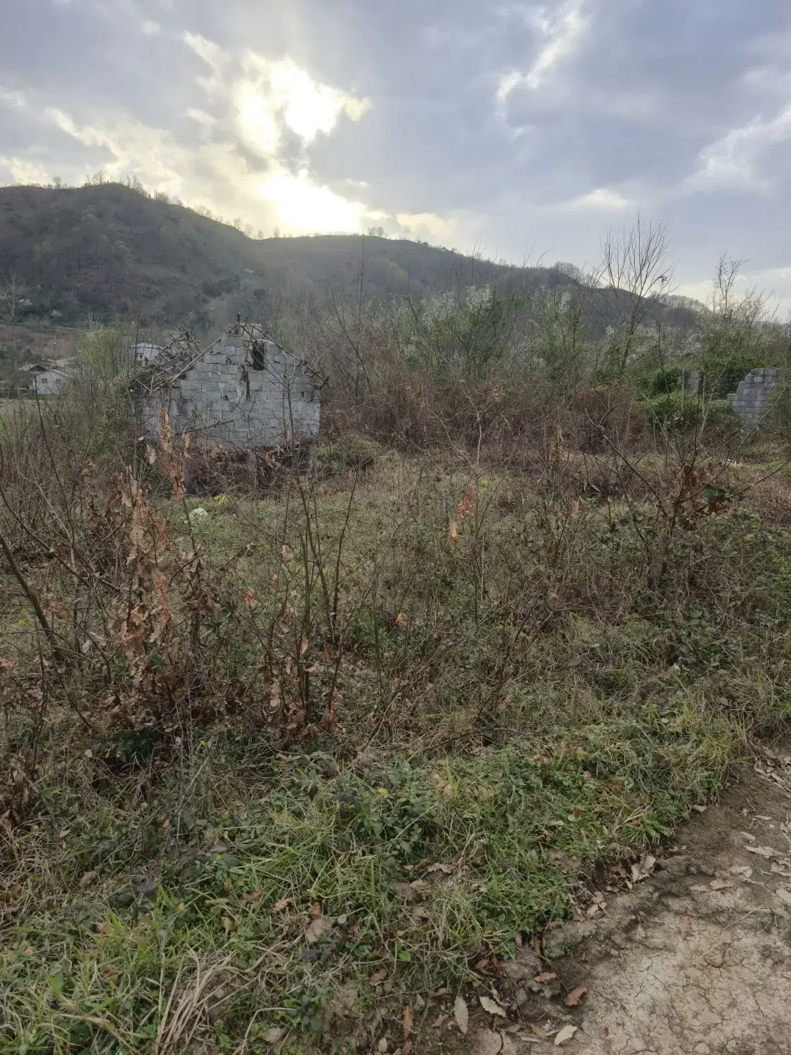 زمین مسکونی در نخجیر