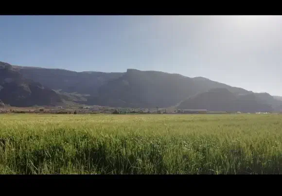 فروش زمین کشاورزی