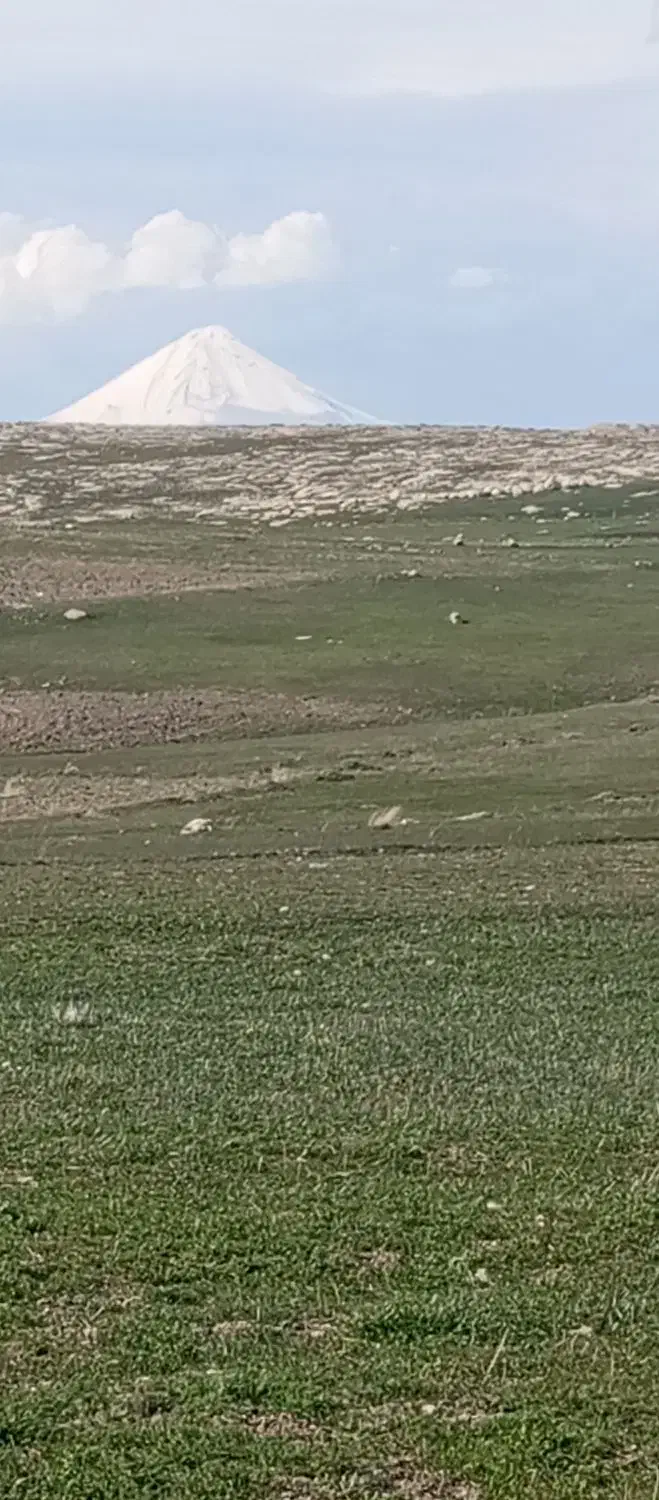 زمین زراعی سنددار روستای تکمه