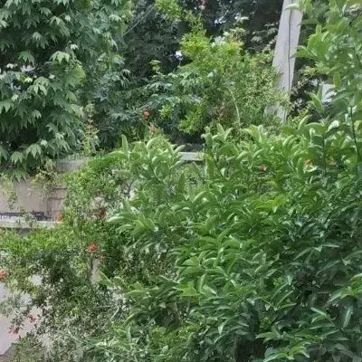 خانه۲۰۰متر(دربست)۱۵خرداد،خ شهید شکری