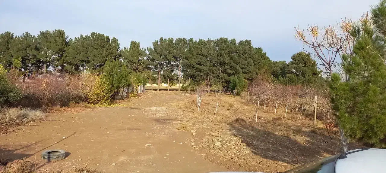 زمین باغی مرجان آباد