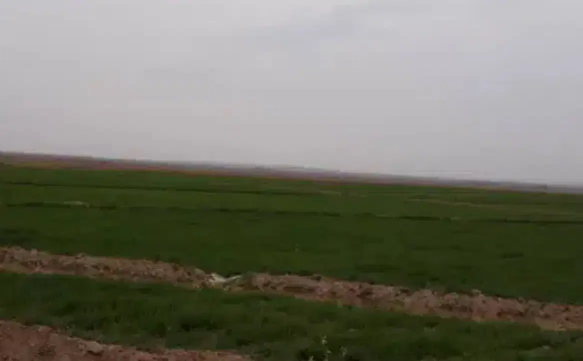 زمین کشاورزی