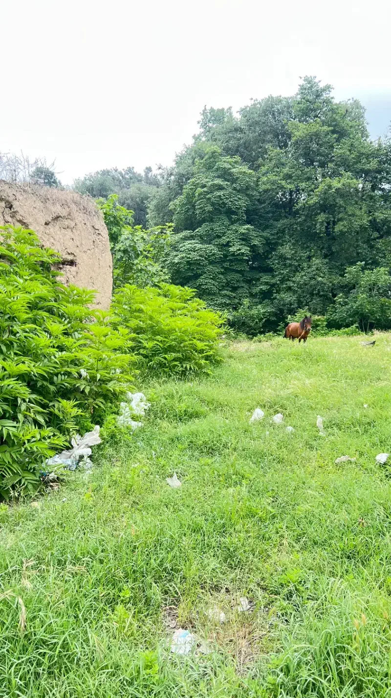 زمین جای عالی برای ویلا