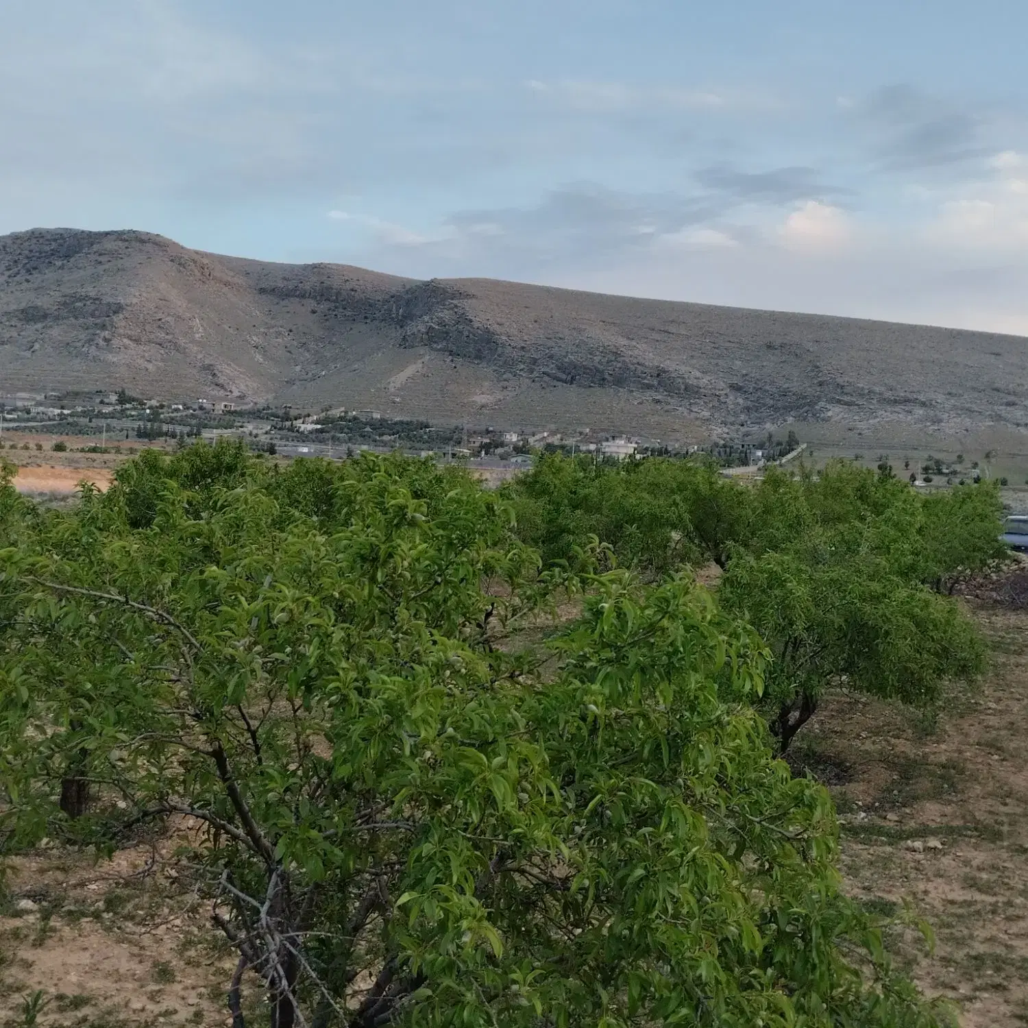 باغشهری