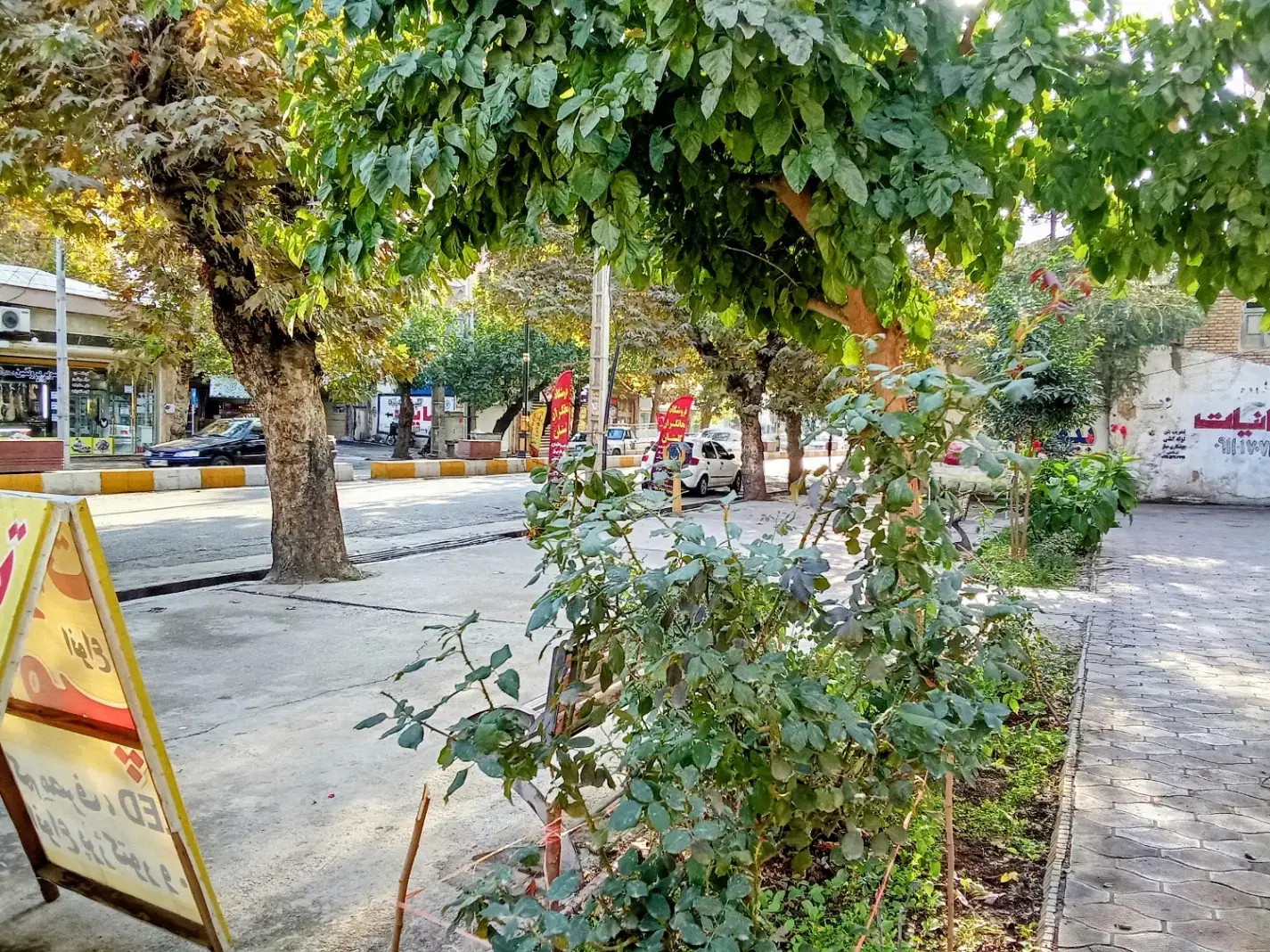 اجاره مغازه،خیابان اصلی شهر
