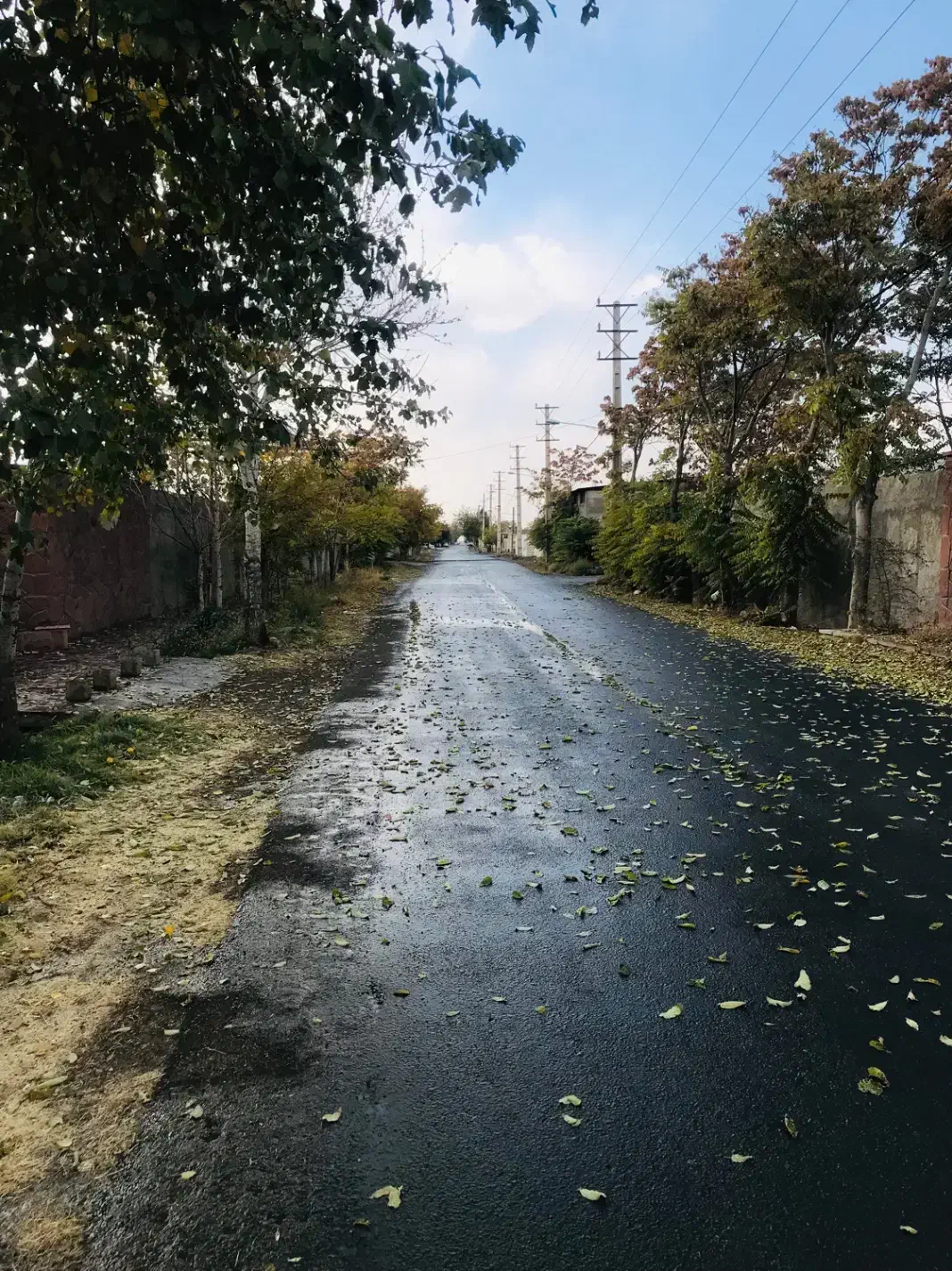 زمین ۱۲۰ متر