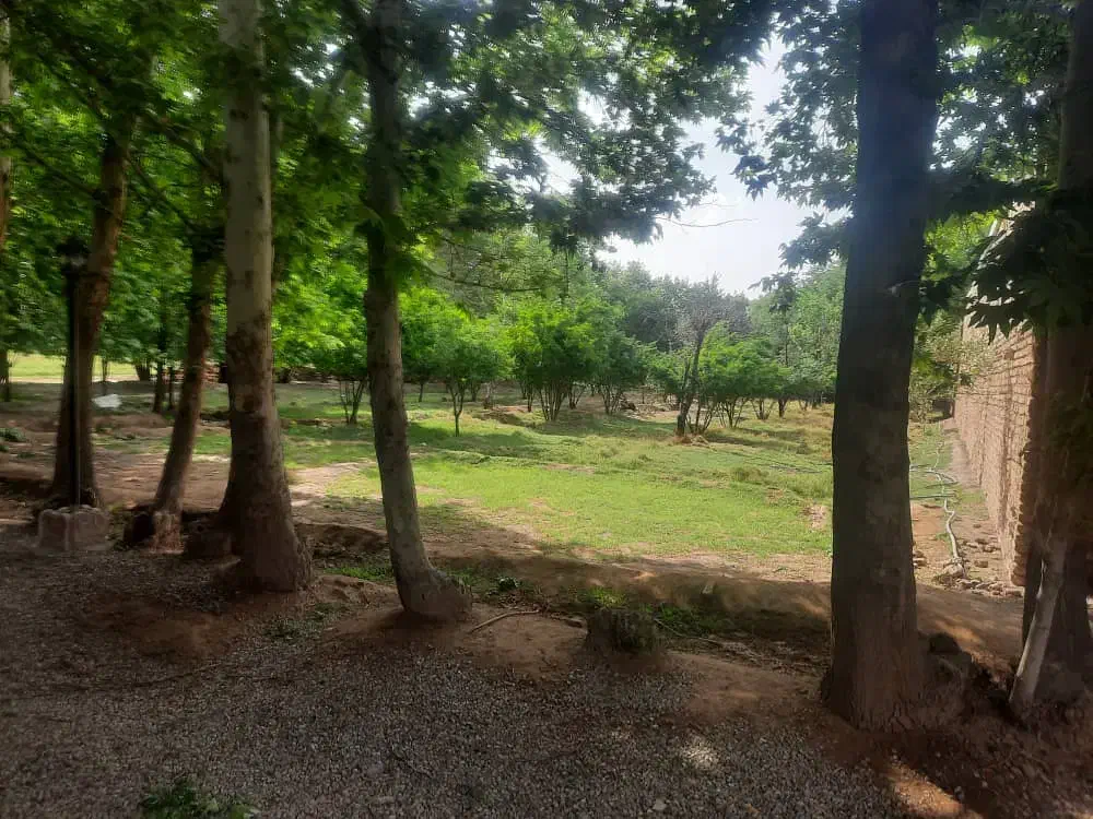 زمین.باغ. باغچه ورامین معاوضه با خودرو و ملک
