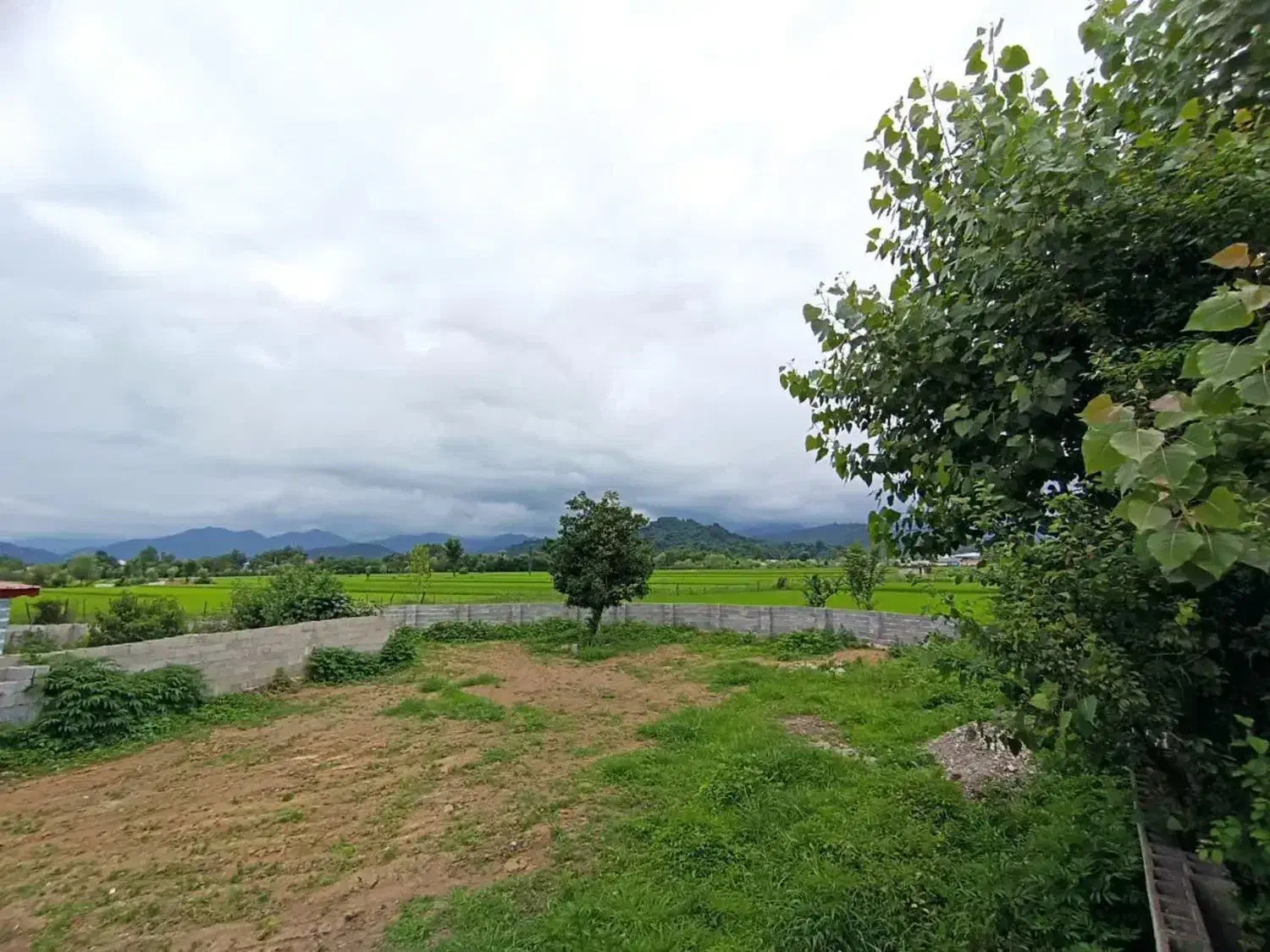 520متر مسکونی