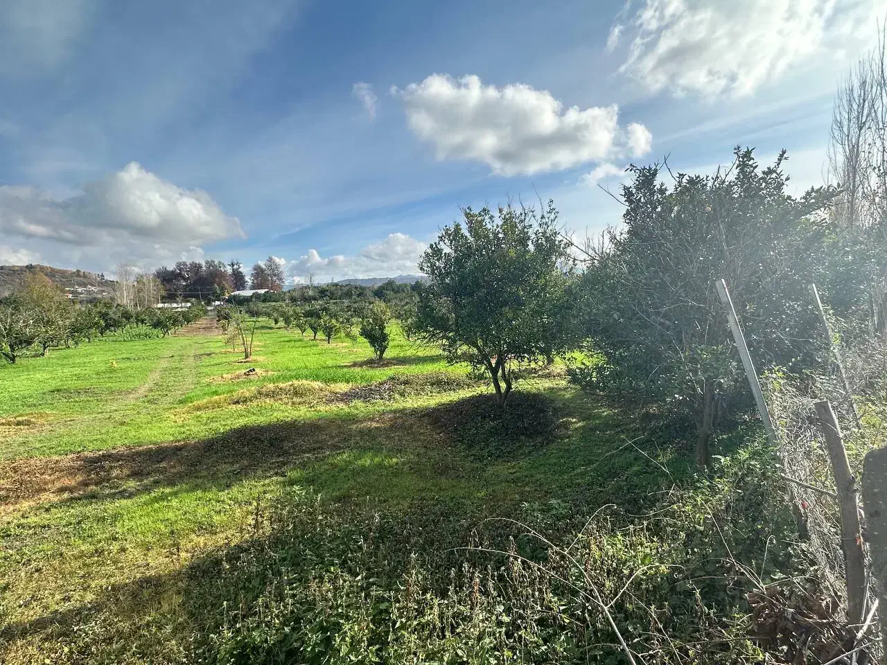 زمین ۴۳۰متر در شیرگاه
