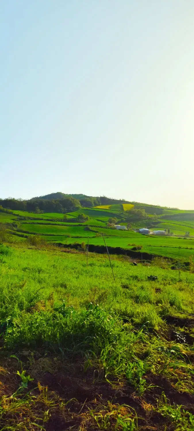 زمین کشاورزی   محدوده شهرک صنعتی