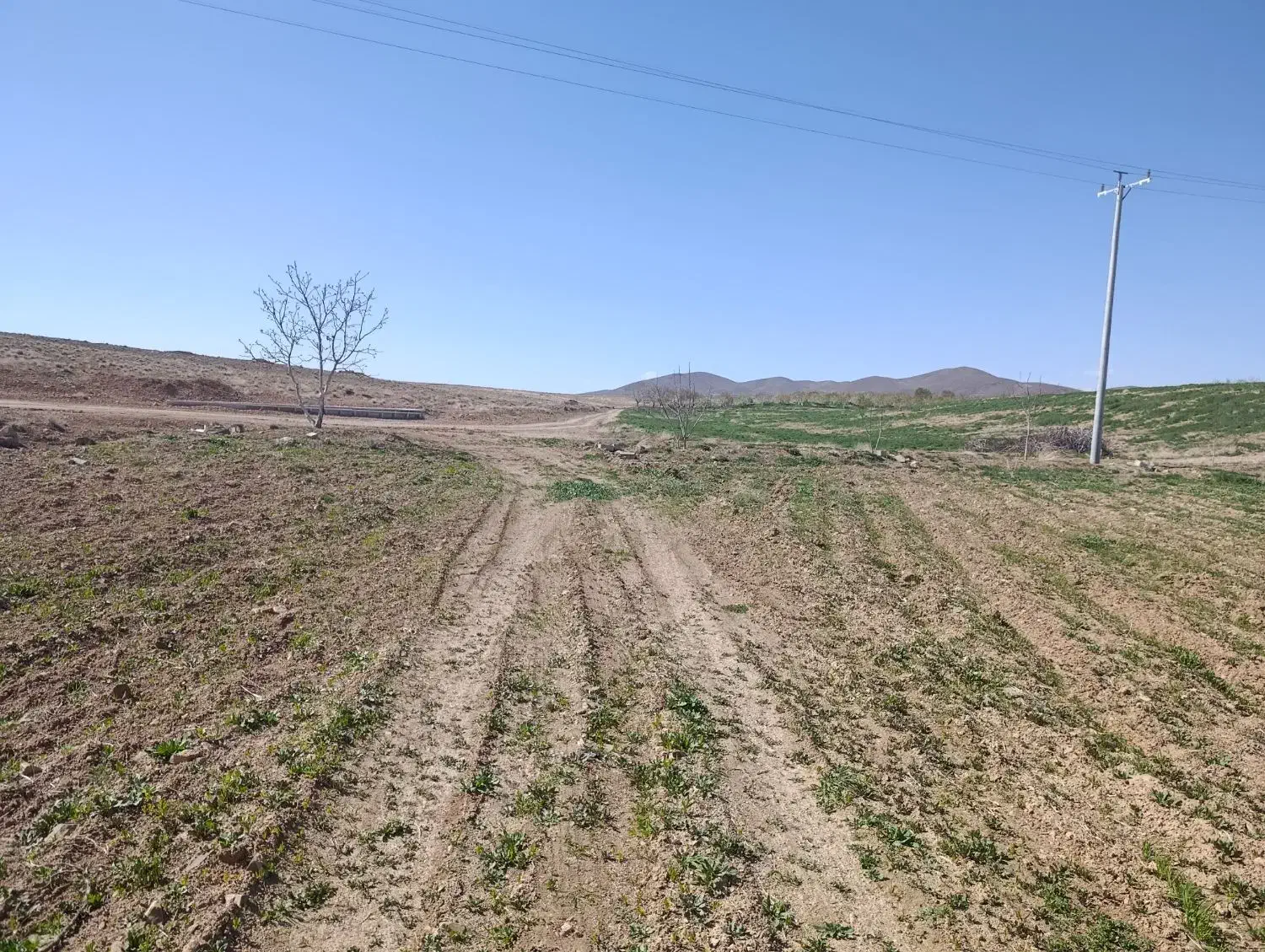 زمین باغ ساده با برق متراژ زمین ۵۰۰۰ متر